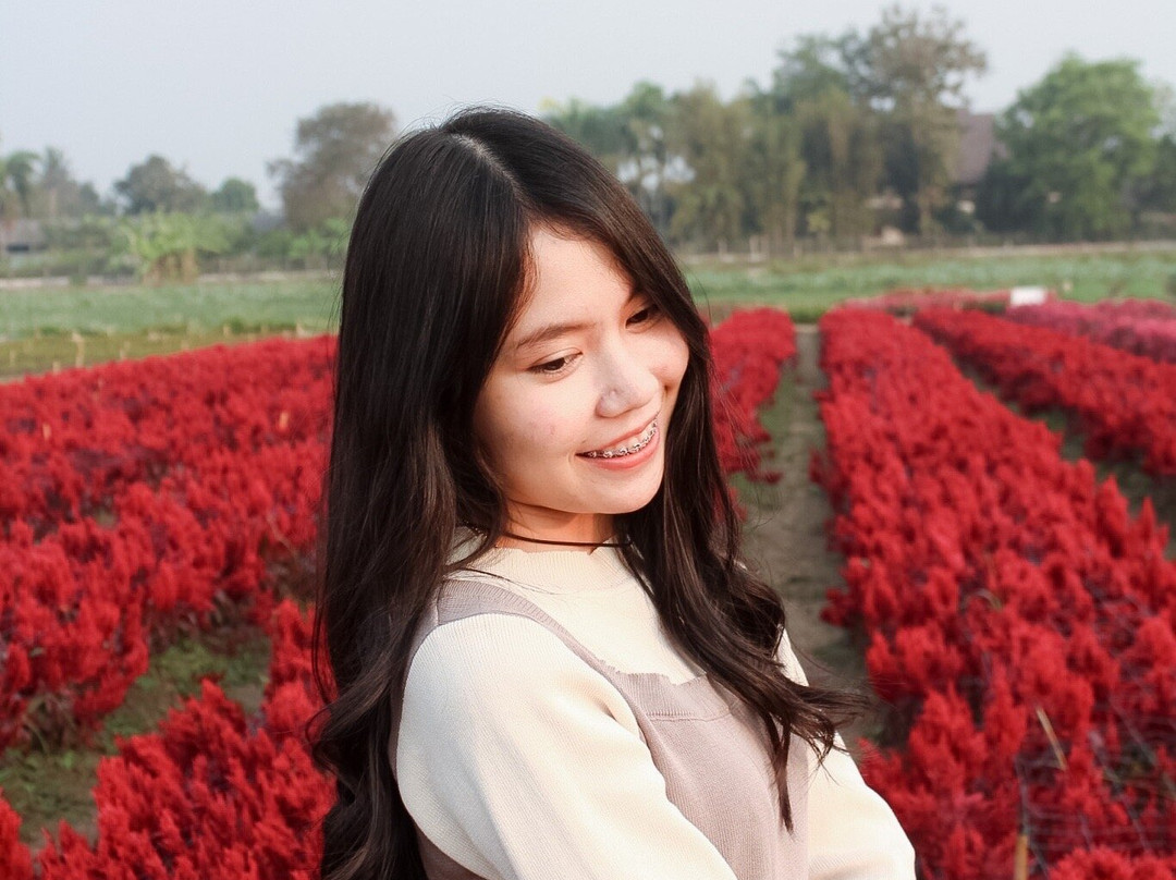 I Love Flower Farm-夜林必去景点