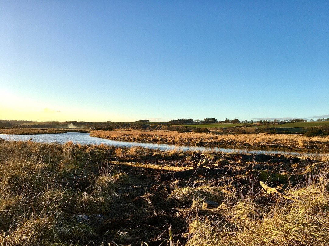 St Cyrus Beach-St Cyrus必去景点