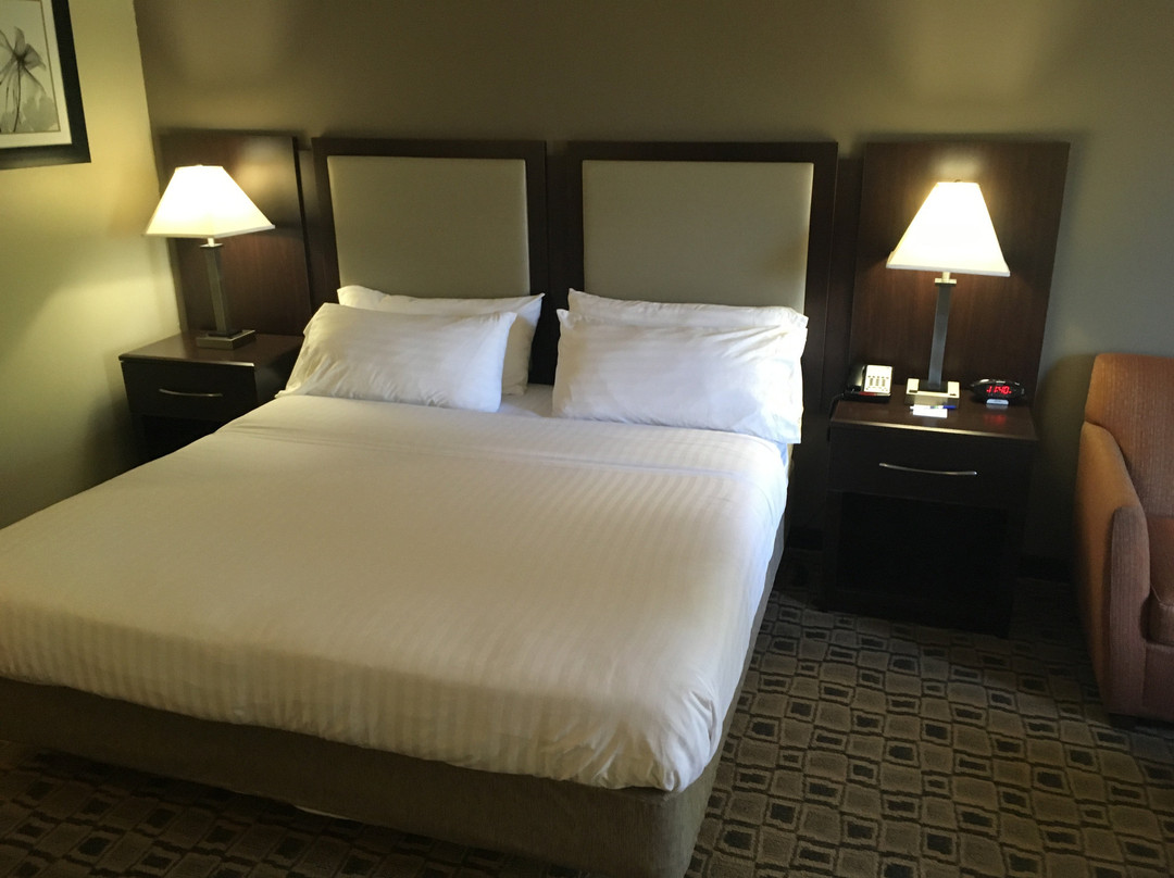 Holiday Inn Express & Suites Albemarle by IHG主图