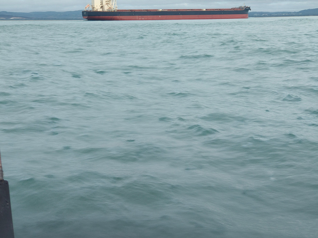 Canoe Point Beach and Parklands-Tannum Sands必去景点