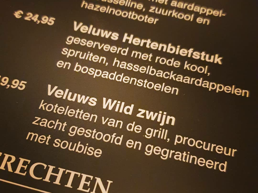 Hotel de Heerlickheijd van Ermelo主图