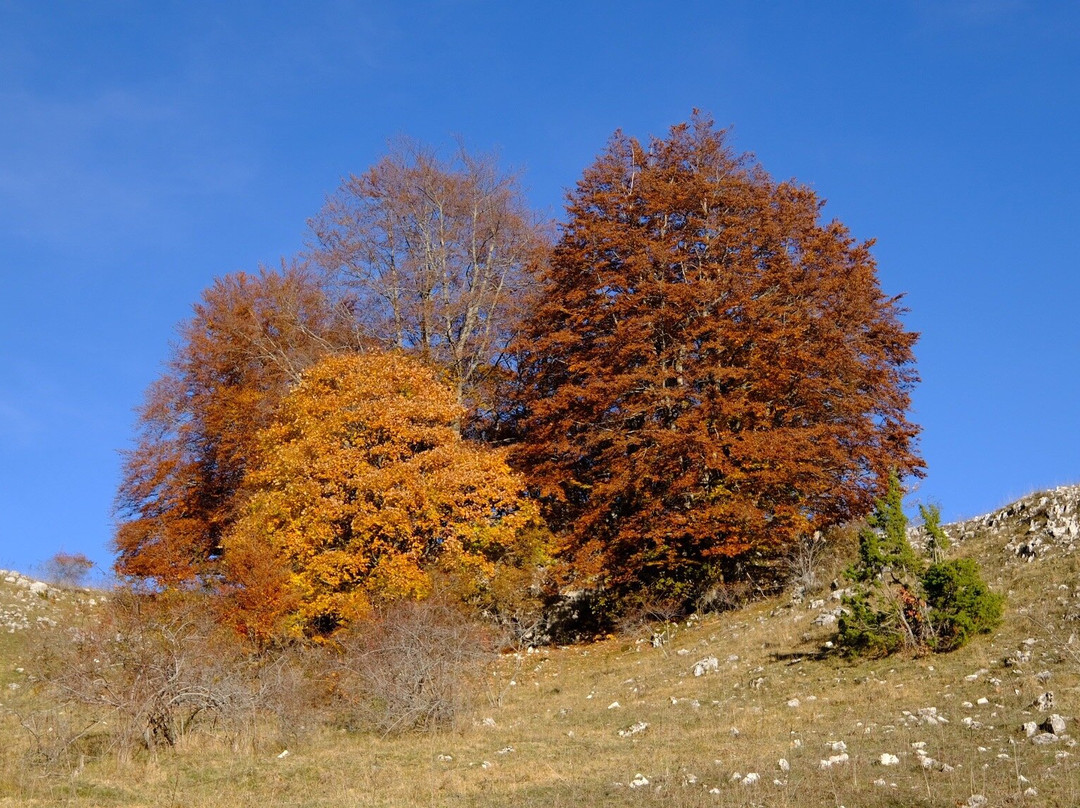 Parco Monti Simbruini-Jenne必去景点