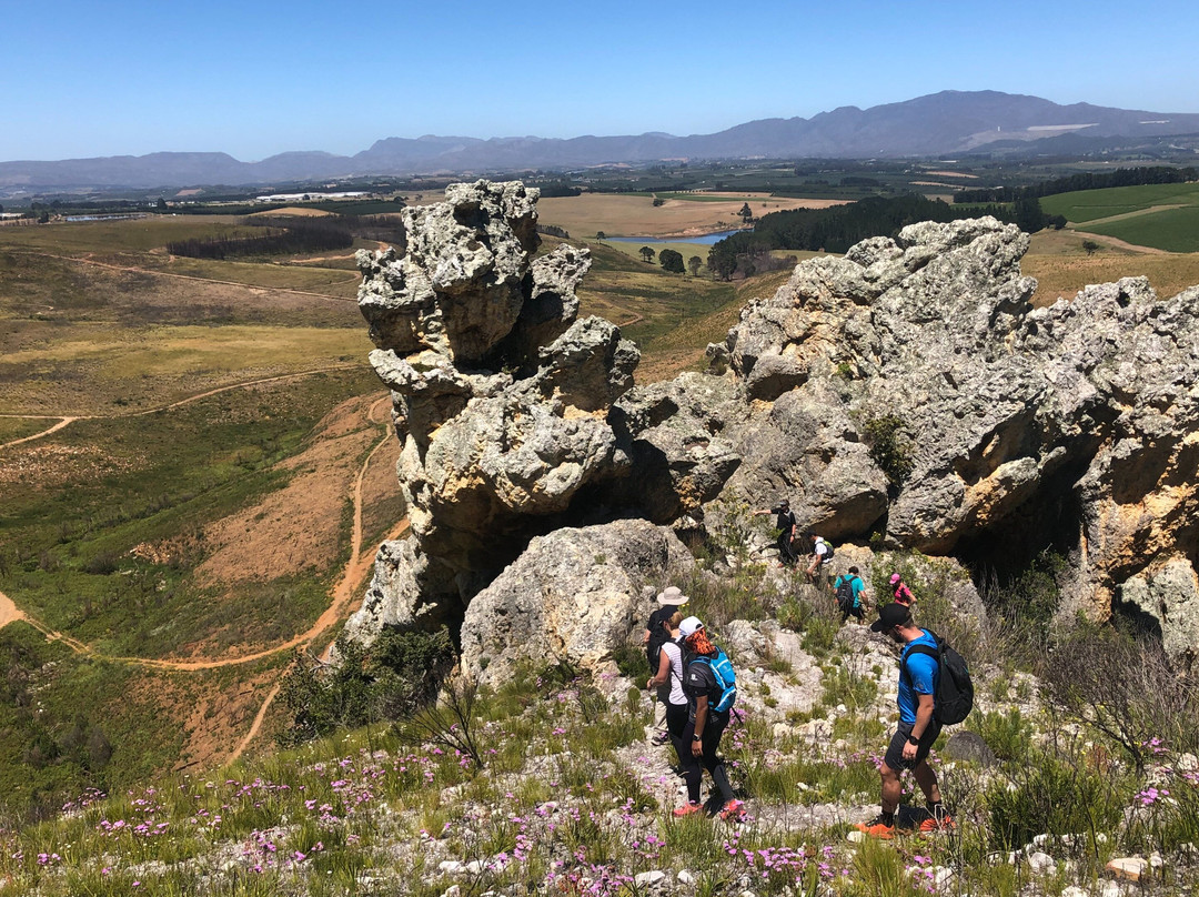 Bikes 'n Wines-Elgin必去景点