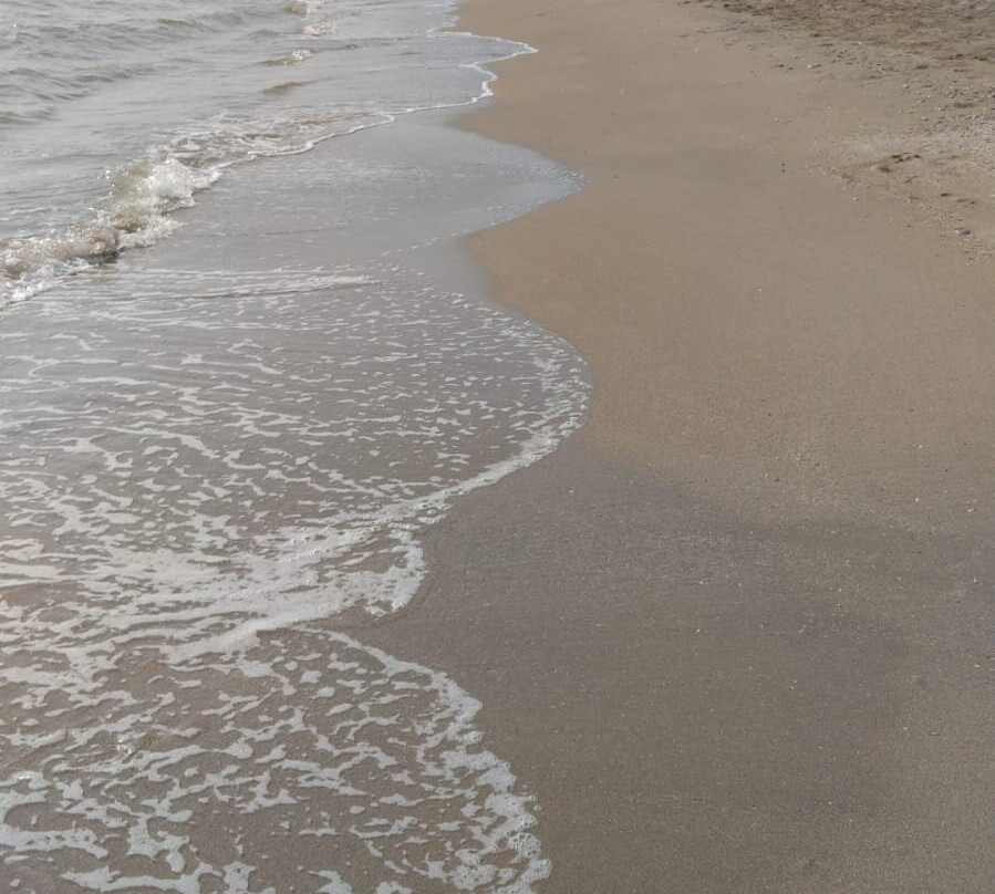 梅尔辛希尔顿酒店主图