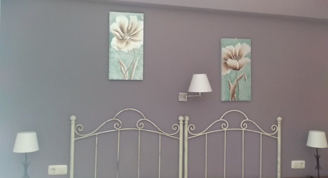 Hostal Los Palacios主图