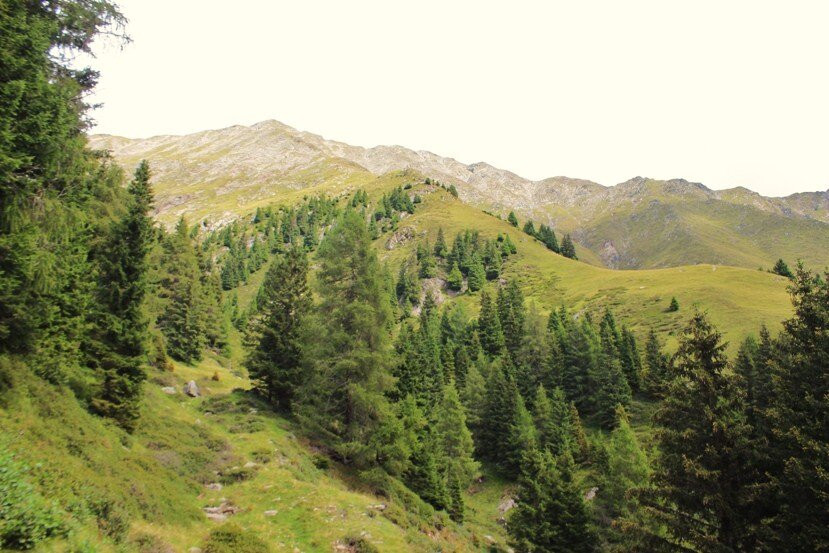 Sentiero Viadacqua E Malga Staffel