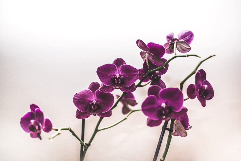 MasVital Massage Center-格拉纳达必去景点