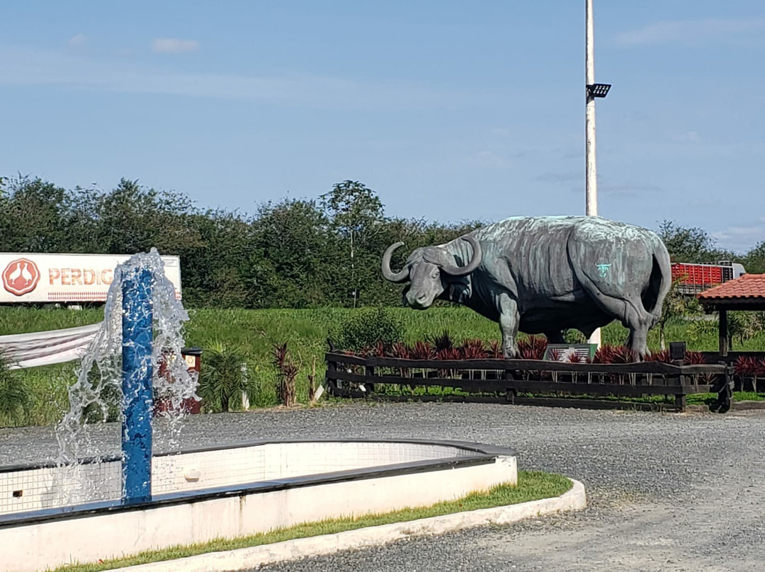Palmito da Fazenda-Registro必去景点