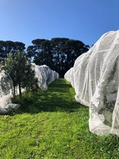 Hart's Farm景点图片