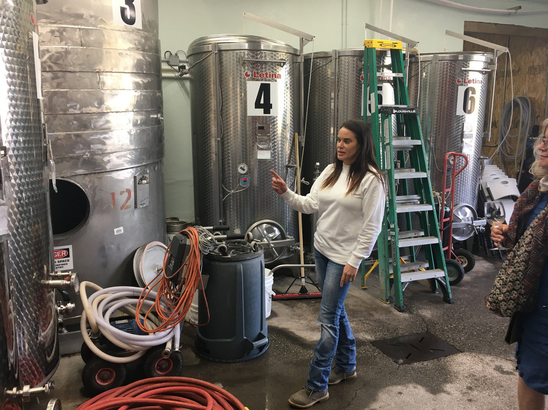 Holesinsky Vineyard & Winery-Buhl必去景点