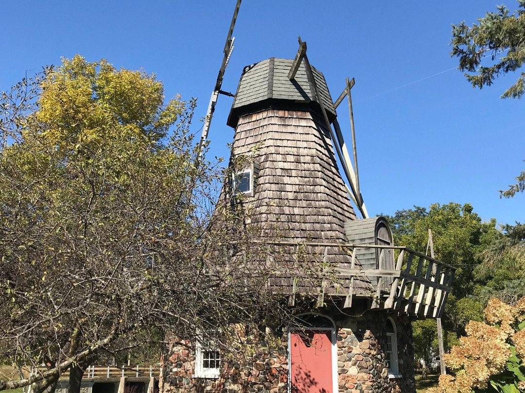 Windmill Park景点图片