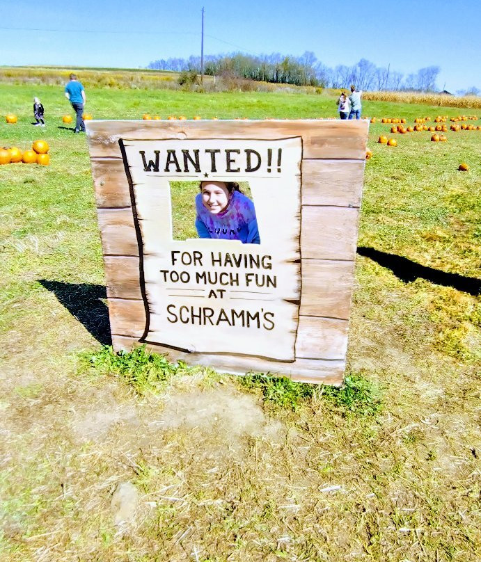 Schramm Farms & Orchards景点图片