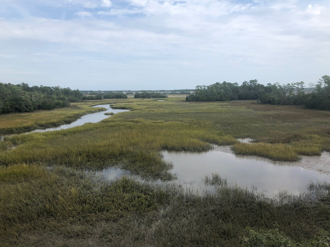 Mount Pleasant Palmetto Islands County Park景点图片