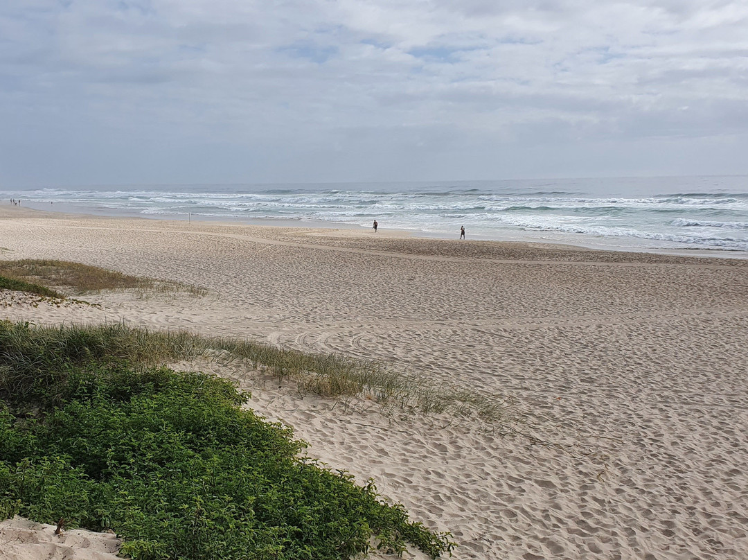 Reg Chesters Park-伯利角必去景点