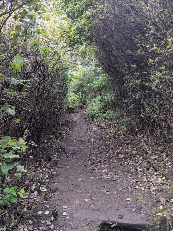Roslin Glen Country Park-Roslin必去景点
