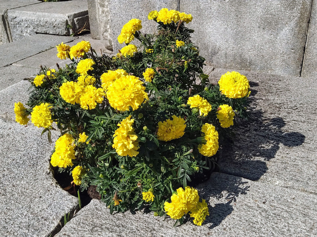 Karl Marks Monument-Ulyanovsk必去景点