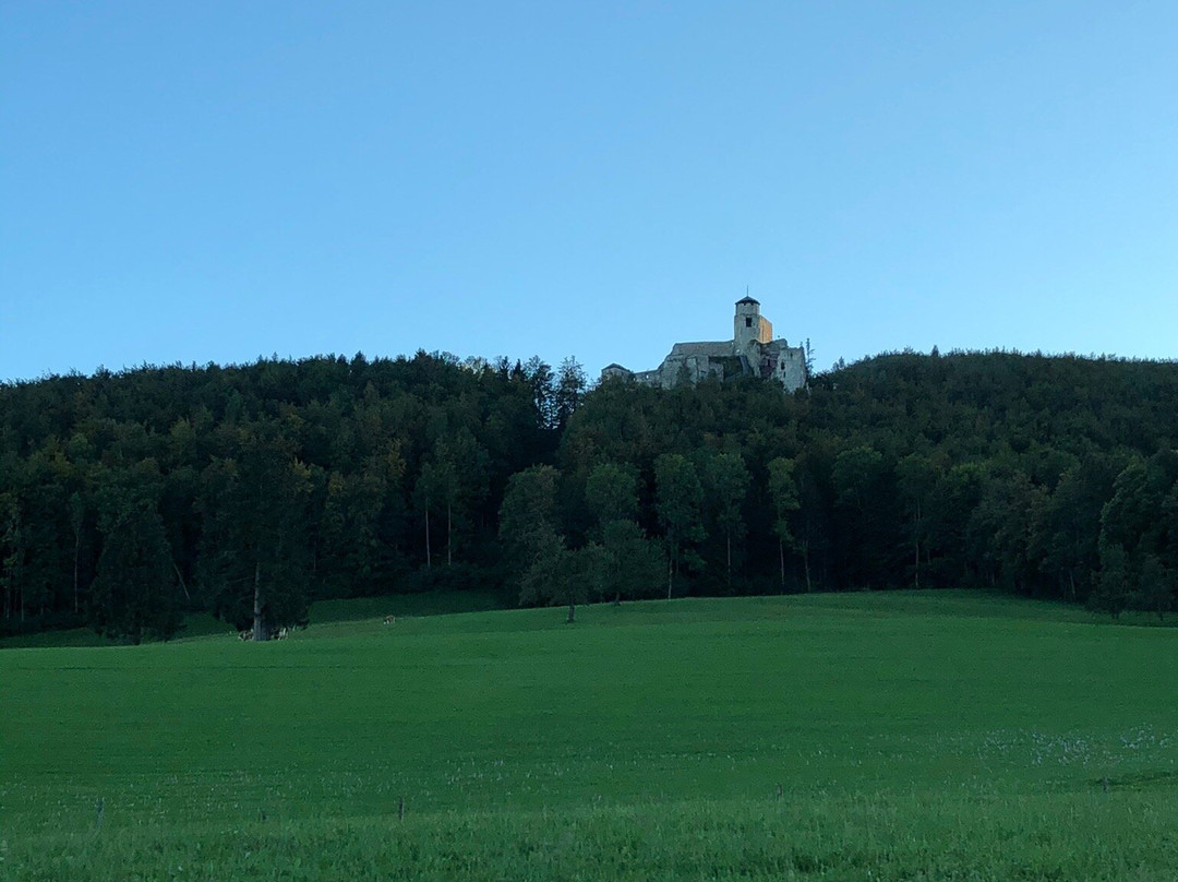 Burgruine Araburg景点图片