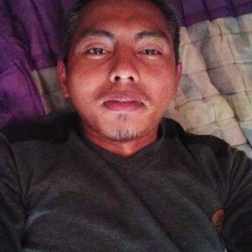 Hamparan Perak旅游攻略图片