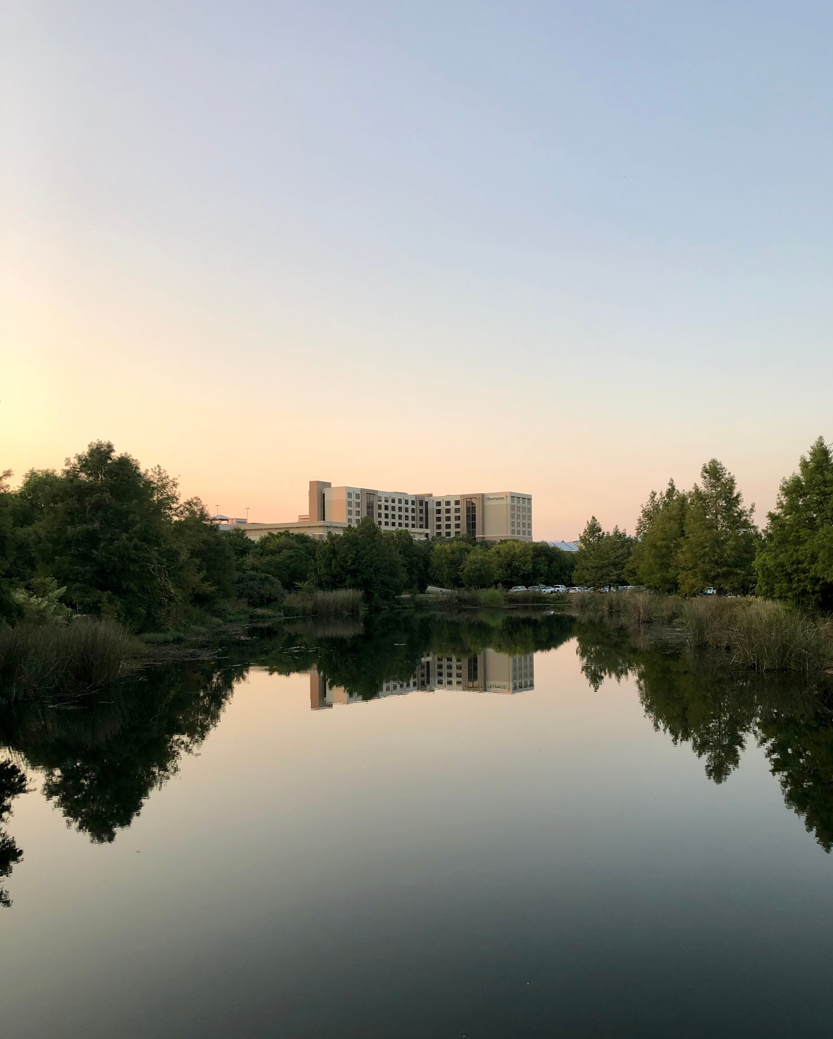 Sheraton Austin Georgetown Hotel & Conference Center-浴室