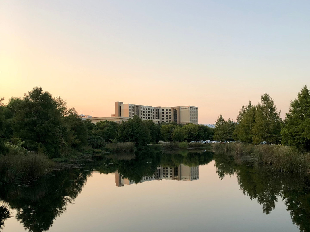 Sheraton Austin Georgetown Hotel & Conference Center主图