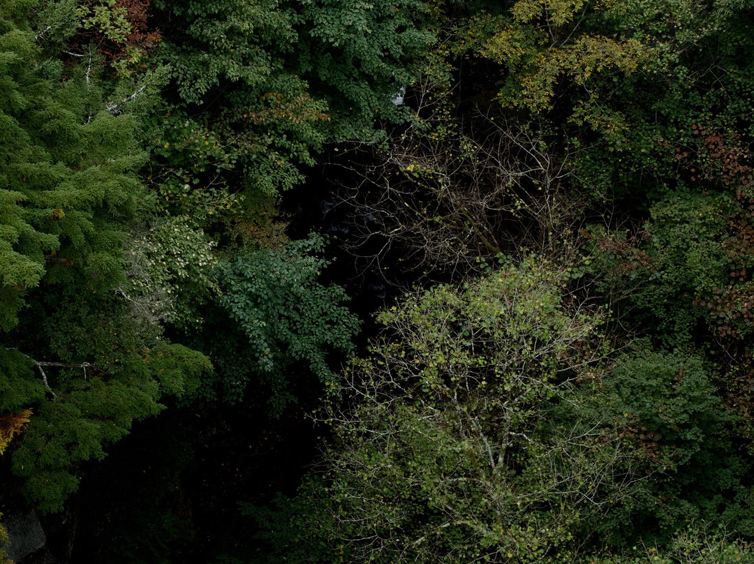 Higashizawa Bridge景点图片