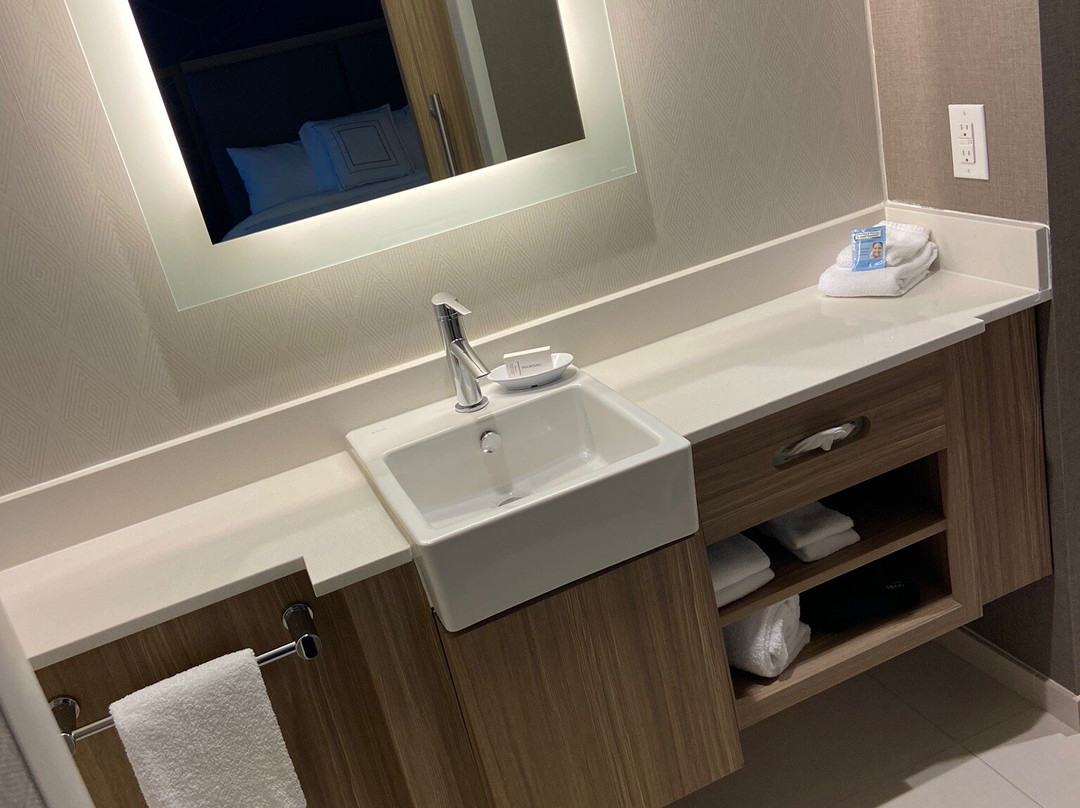 SpringHill Suites by Marriott Dallas McKinney主图