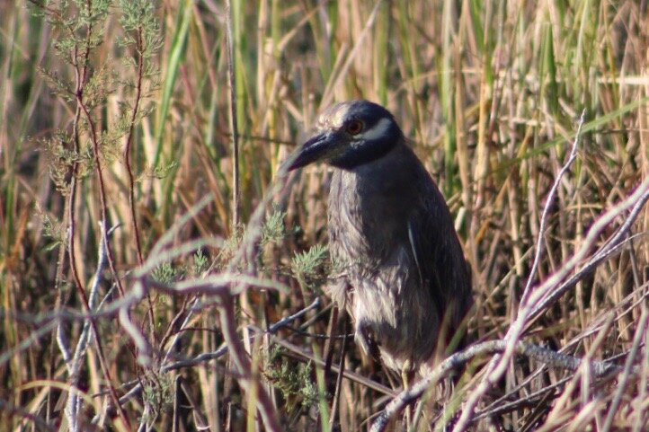 Lighthouse Beach-Port Lavaca必去景点