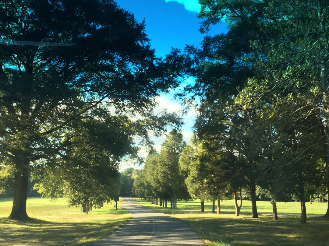 George Mason's Gunston Hall景点图片