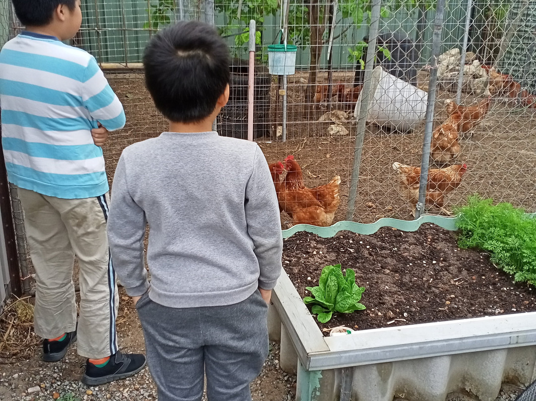 防风林住宿加早餐酒店主图