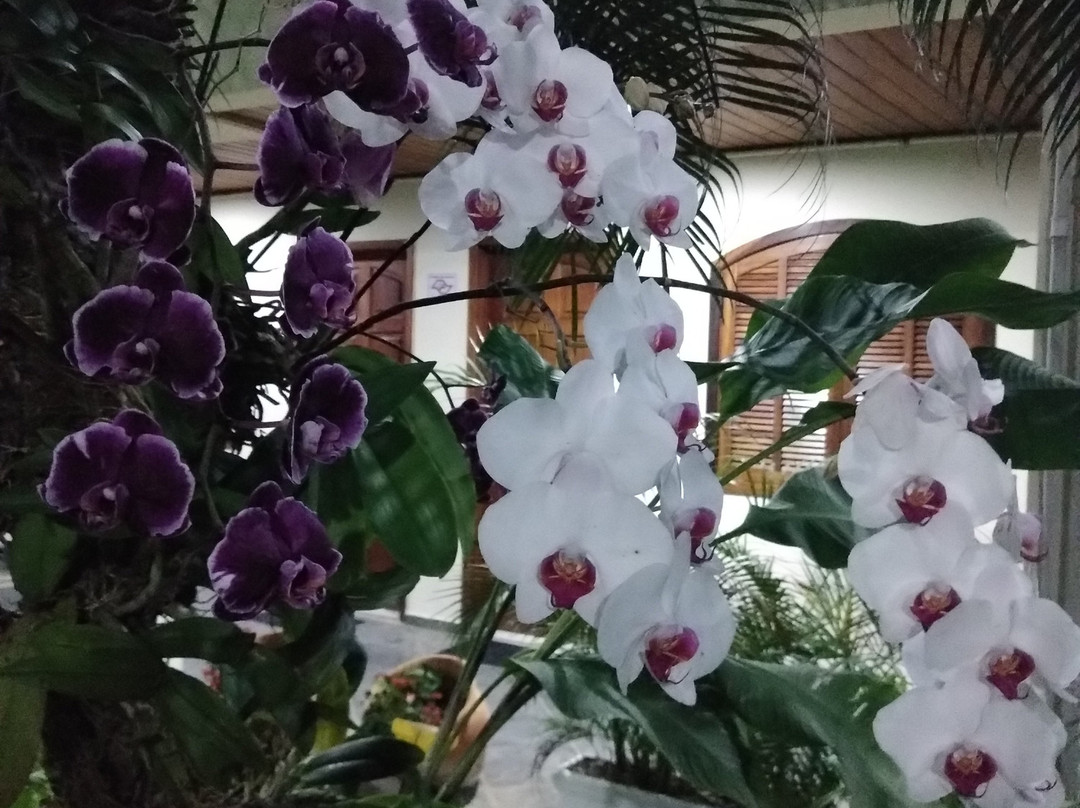 Chales Four Seasons主图