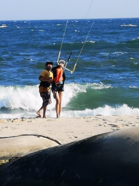 The Spot - Next Level Kitesurf And Travel景点图片