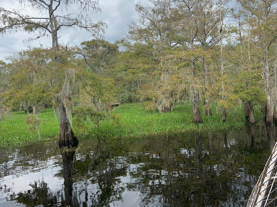 Ray's Airboat Rides-Christmas必去景点