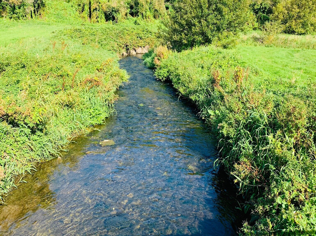 Ward River Valley Park-Swords必去景点