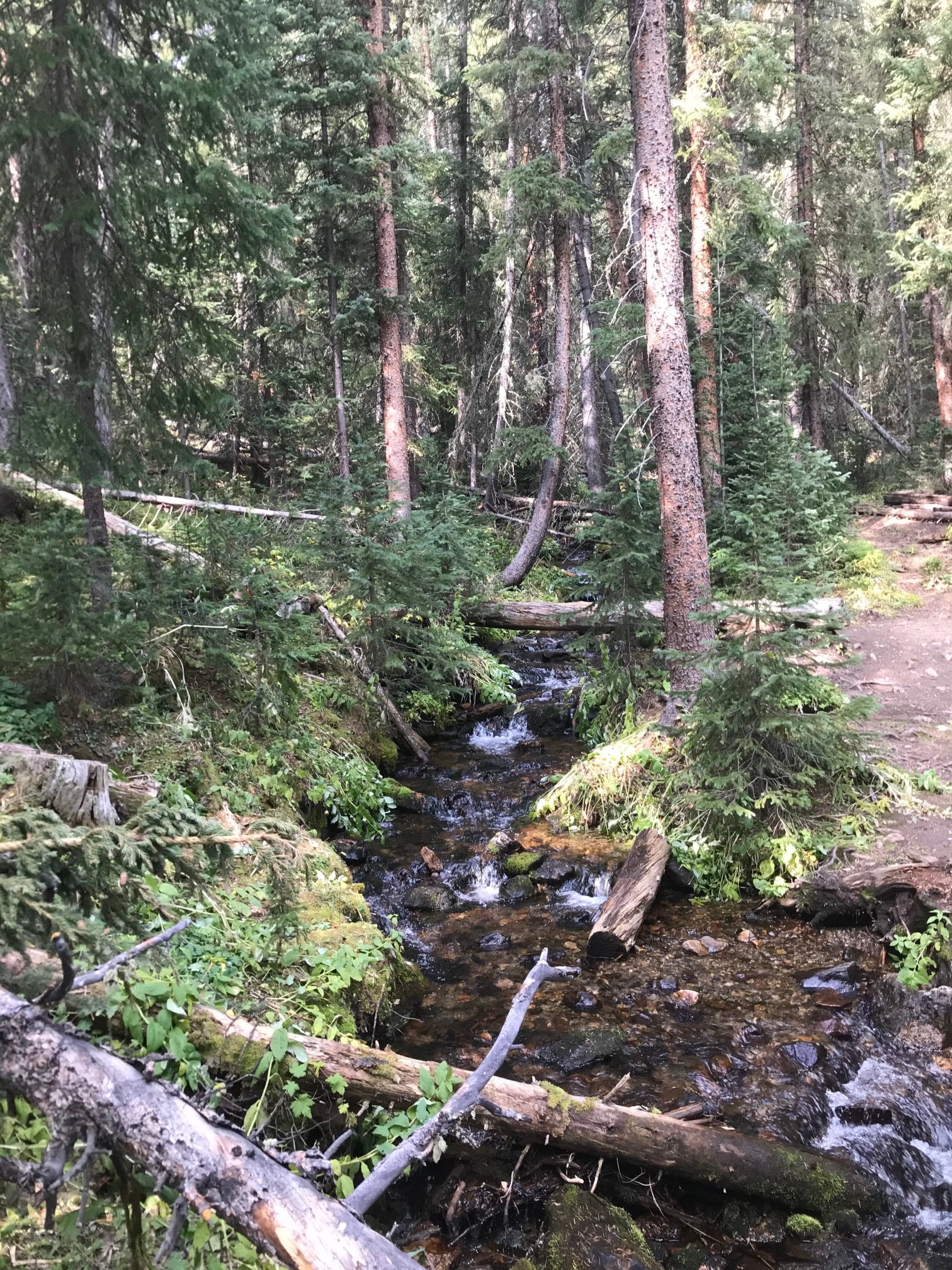 Grand Colorado on Peak 8-浴室