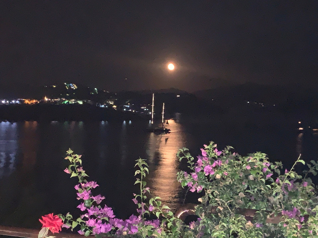 Hotel Villa Alexis主图