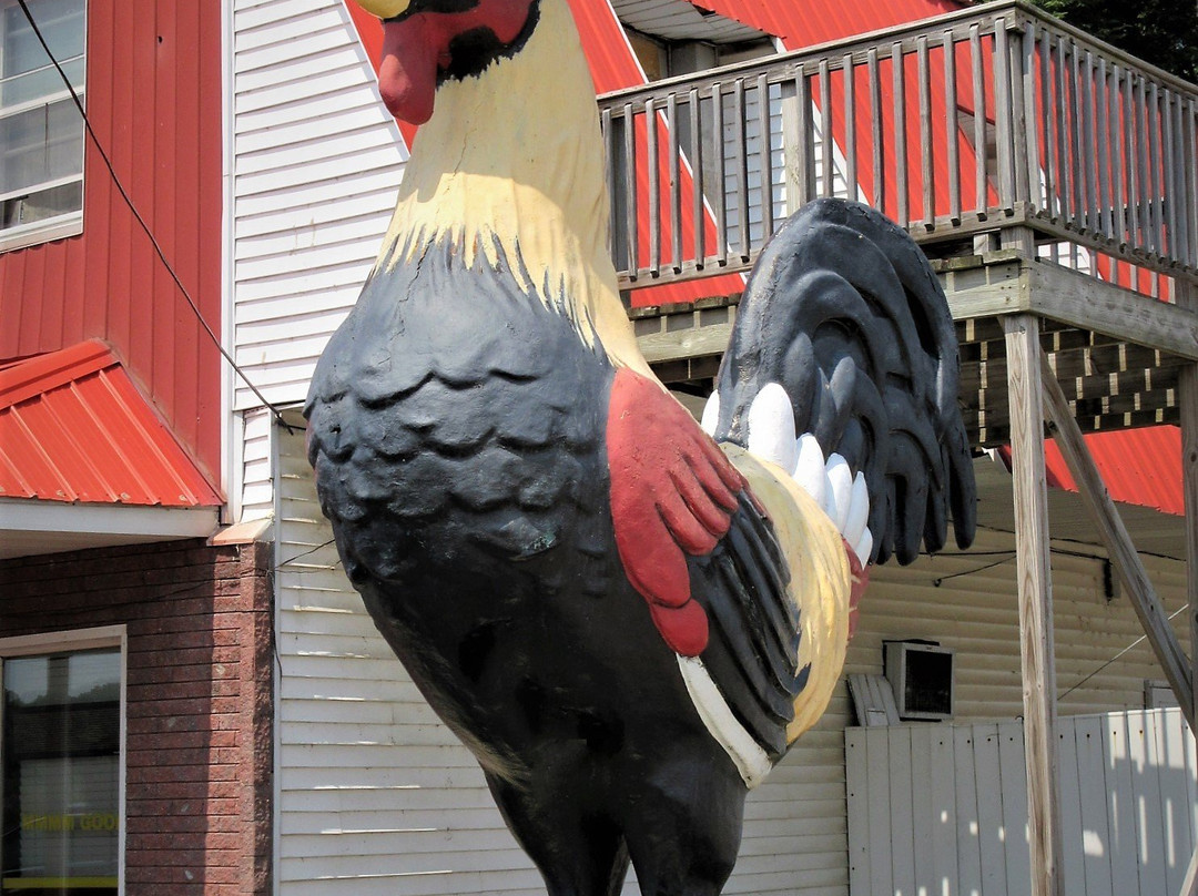 Rooster in a Top Hat-East Peoria必去景点