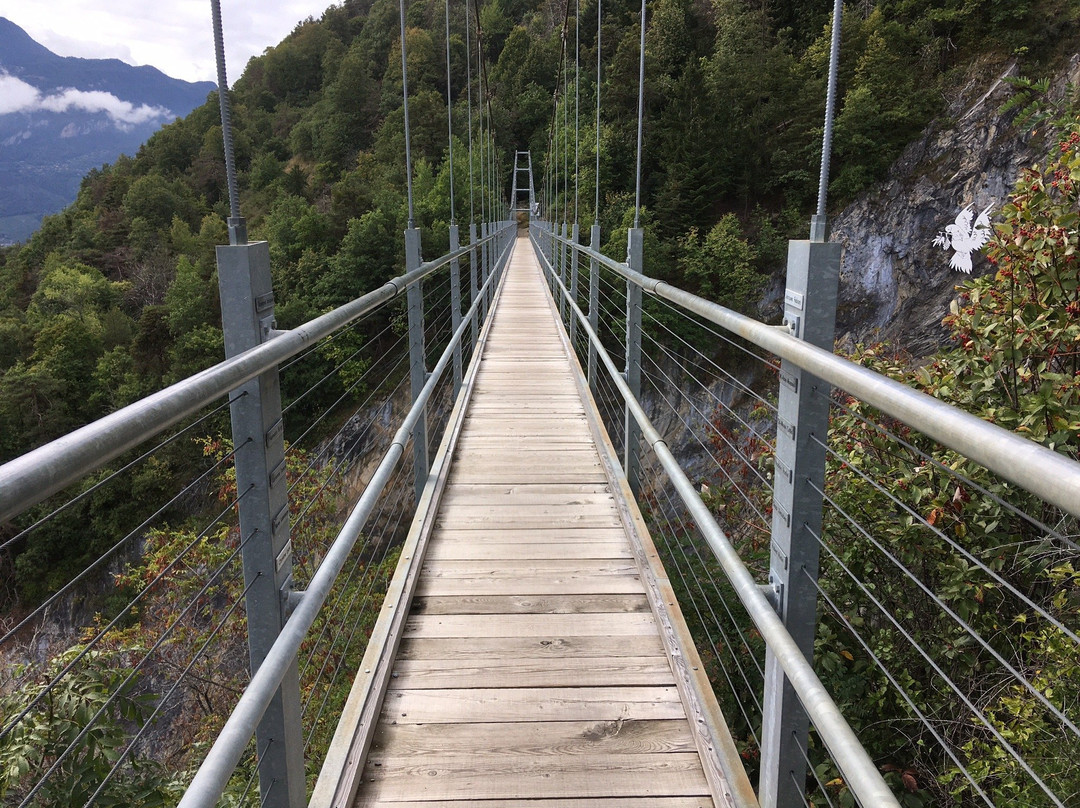Passerelle à Farinet景点图片