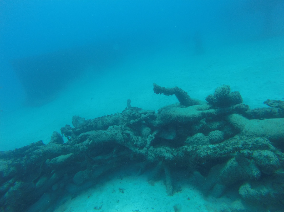 Museo Atlántico Underwater Museum景点图片