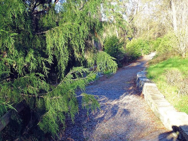 Living History Park-North Augusta必去景点