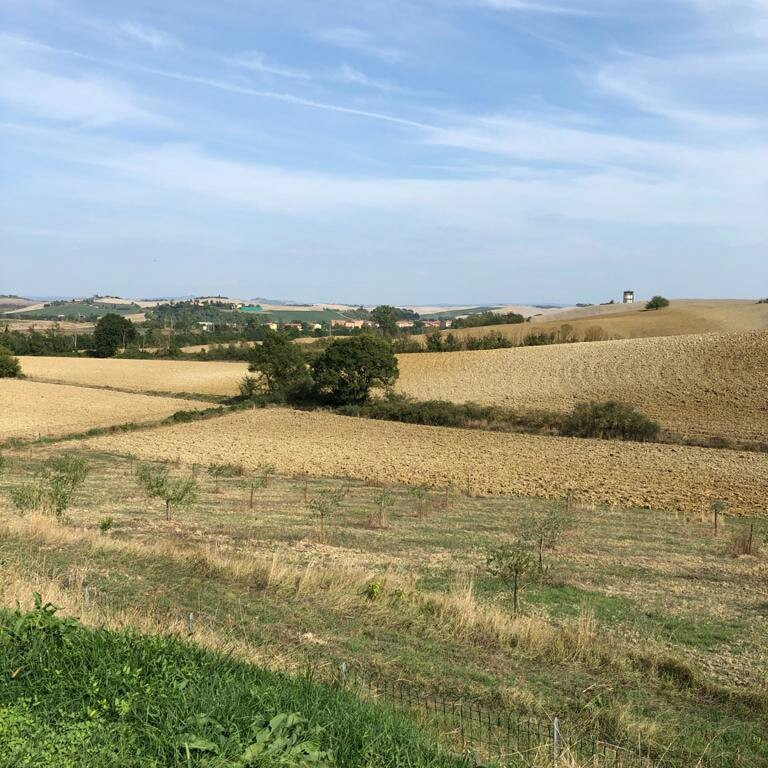 Crete Senesi-阿夏诺必去景点