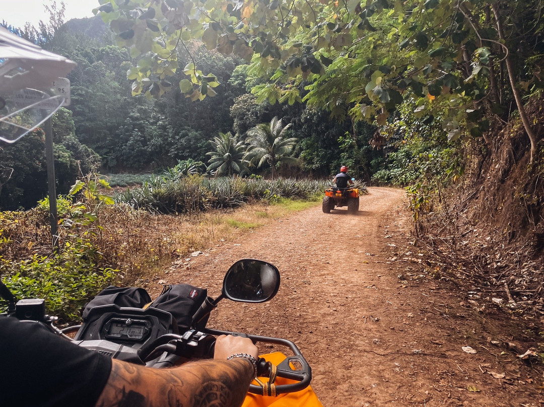 Albert ATV Fun Tours-莫雷阿岛必去景点