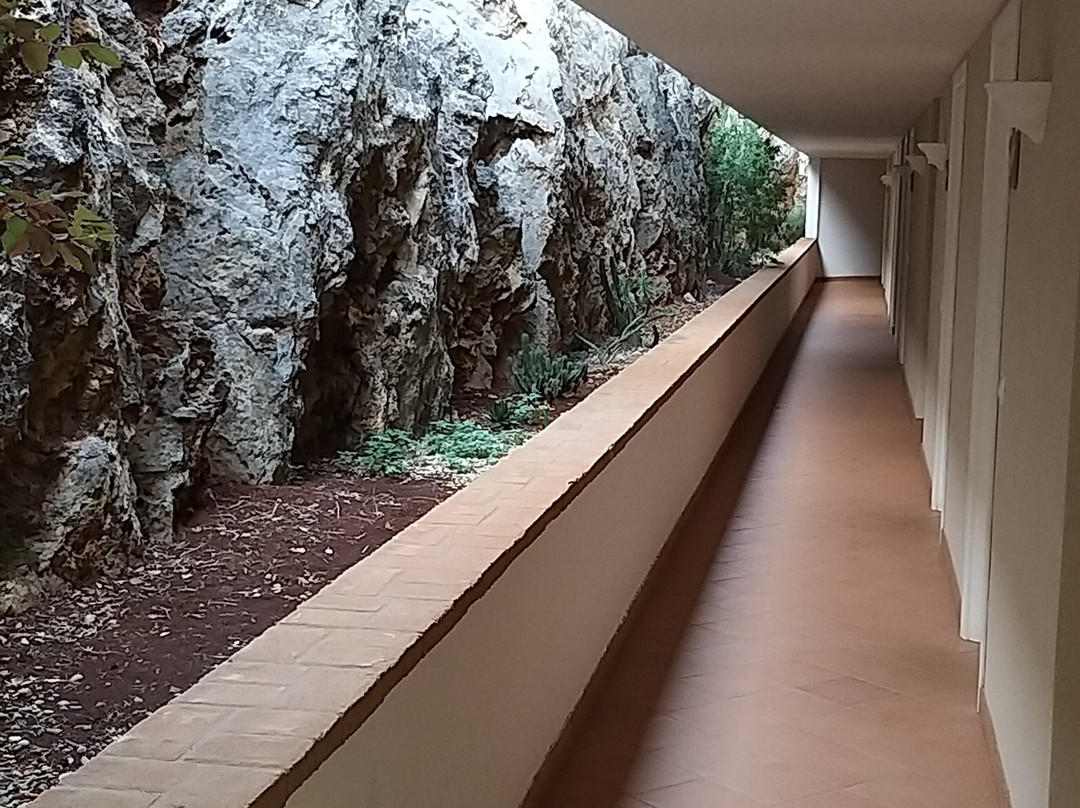 Collina degli Ulivi主图