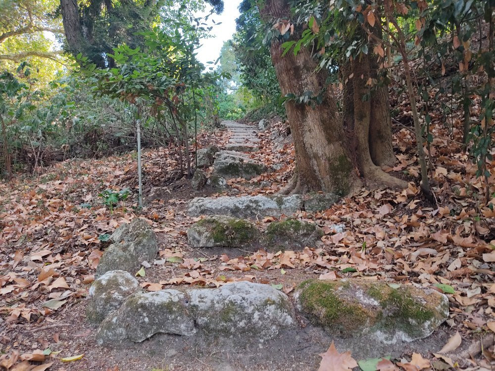 Parque Botânico do Monteiro-Mor景点图片
