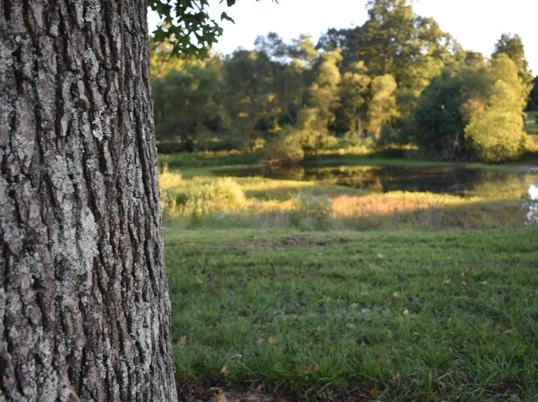 Mahr Park Arboretum景点图片