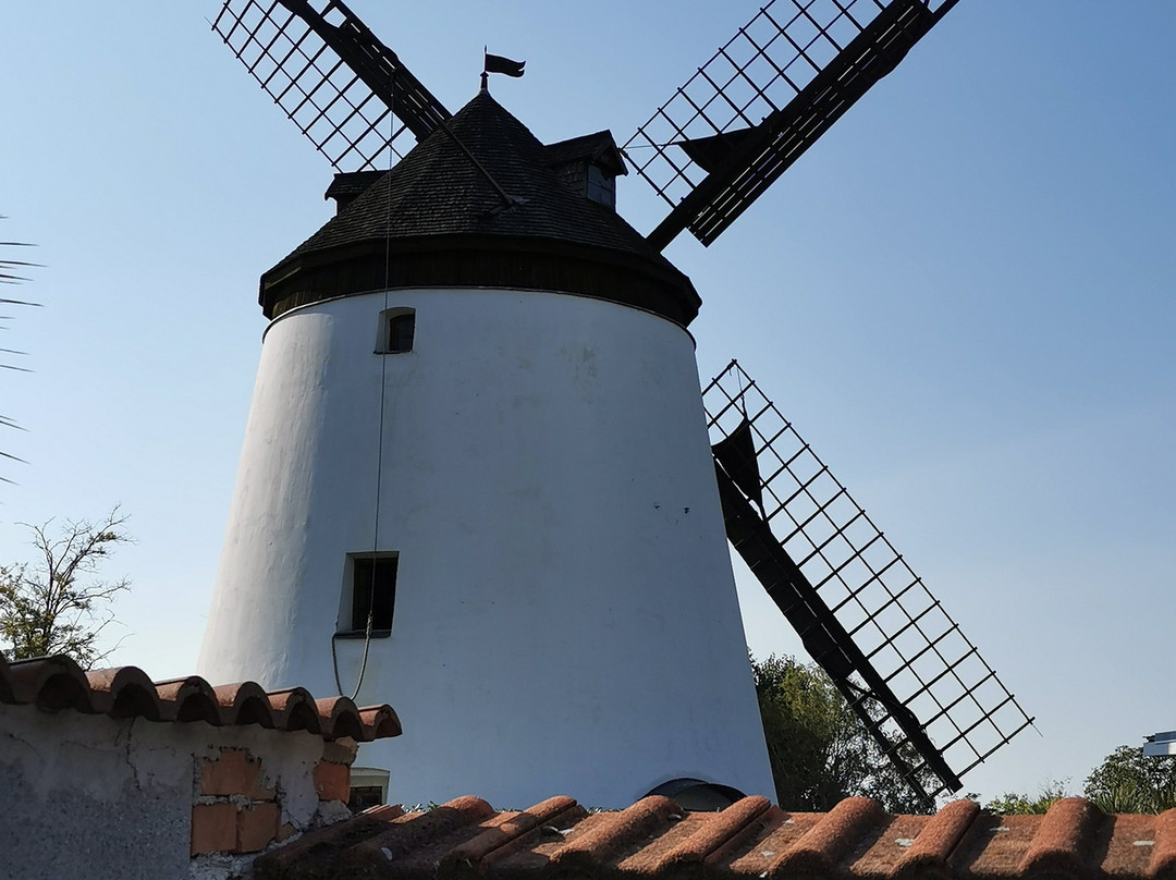Windmühle Podersdorf am See-Podersdorf am See必去景点