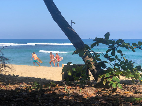 SLABDR 共居 | Once 冲浪萨尔瓦西翁主图