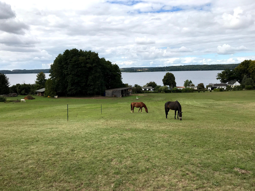 布朗达兰德酒店主图