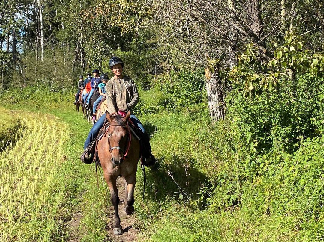 Thunder Ridge Trails Ranch-德文郡必去景点