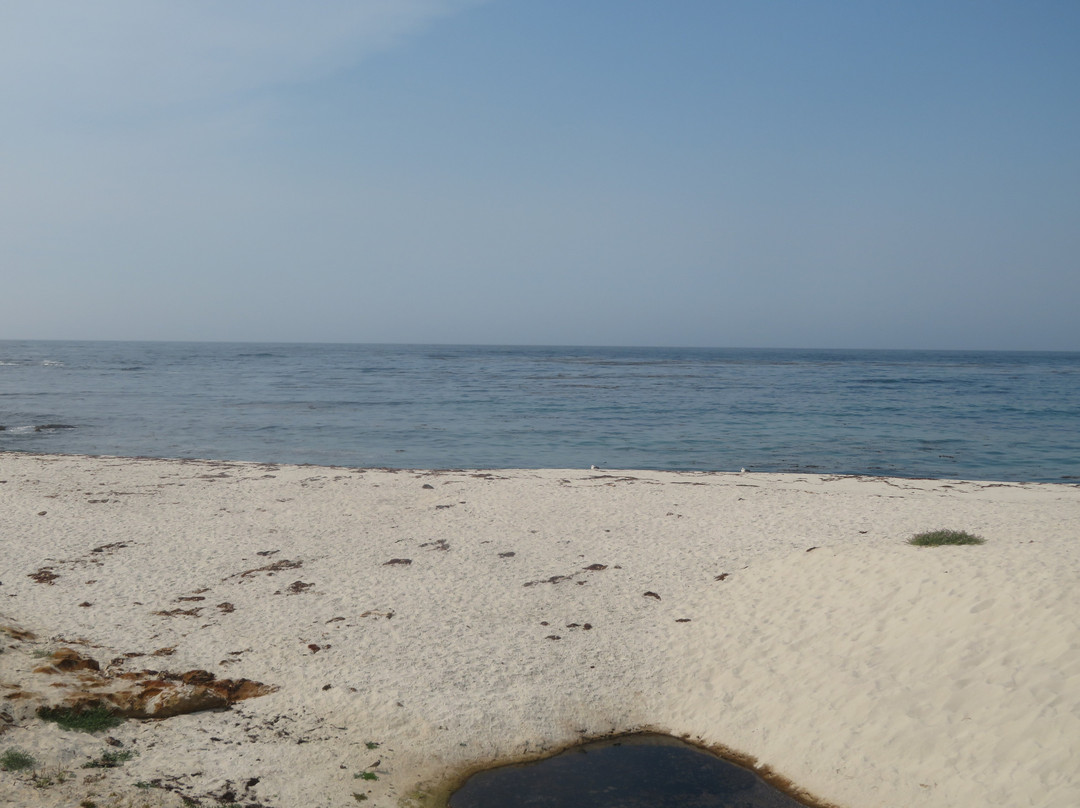 Fanshell Overlook-圆石滩必去景点