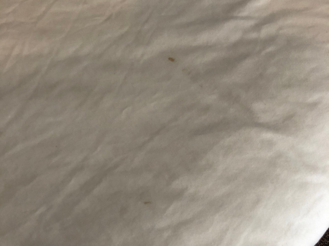 Lakeshore Inn Water Front主图